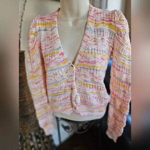 BB Dakota Multicolor Striped Button Up Sweater